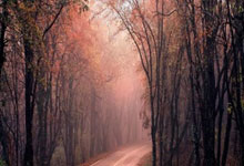 黑白体育：官宣：骑士一年合同签回TT 上赛季场均3.3+3.6.