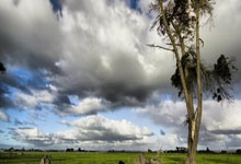 中国队获速滑世界杯北京站男子短距离团体追逐铜牌央视新闻客户端.