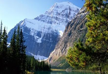 每体：巴萨将续约莱万、什琴斯尼和贝尔纳尔，可能会一起官宣.