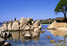 黑白体育：官宣：骑士一年合同签回TT 上赛季场均3.3+3.6.